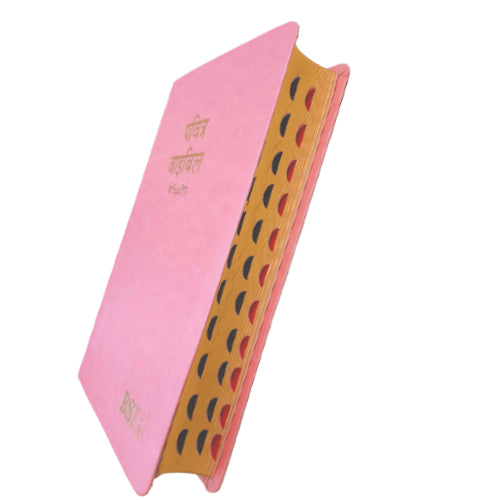 Hindi Bible with Thumb Index Pink Color Bound