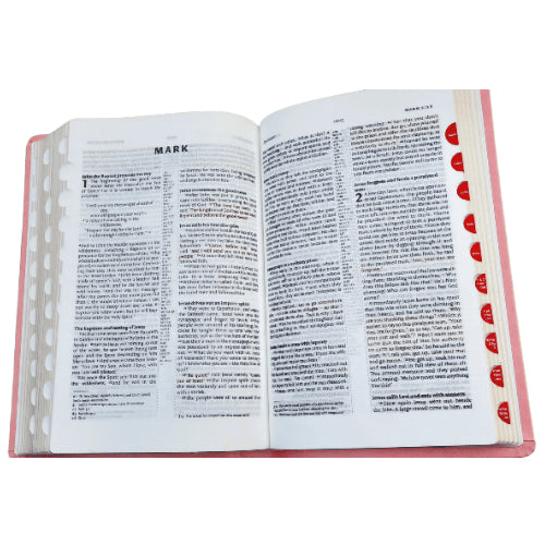The Holy English Bible Thumb Index With Pink Leather Bound