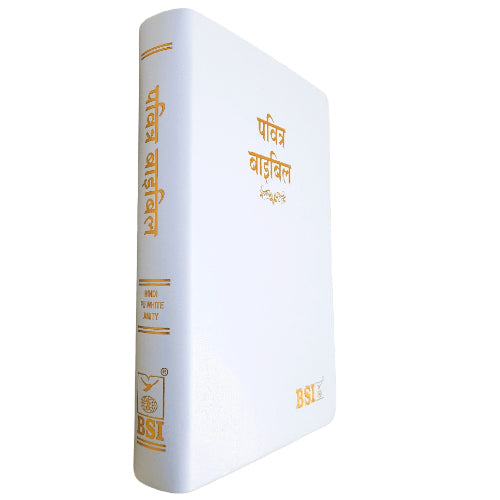 The Holy Hindi – 2023 PU Amity Index Bible | Best Index Hindi Bible | Hindi – O.V. PU Series (Amity) – White