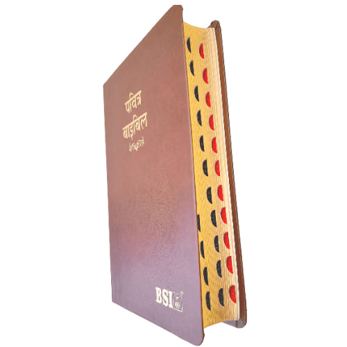 Hindi Bible with Thumb Index Brown Color Bound