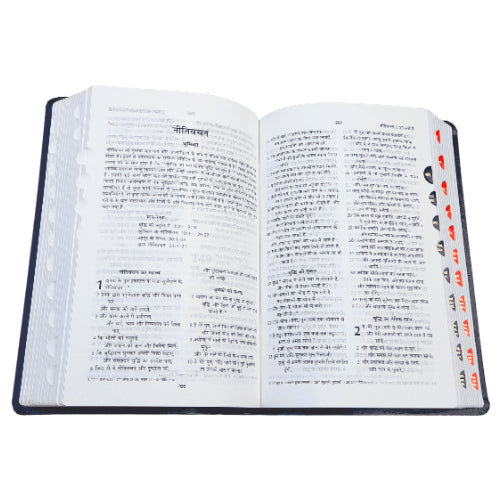 Hindi Bible with Thumb Index Black Color Bound