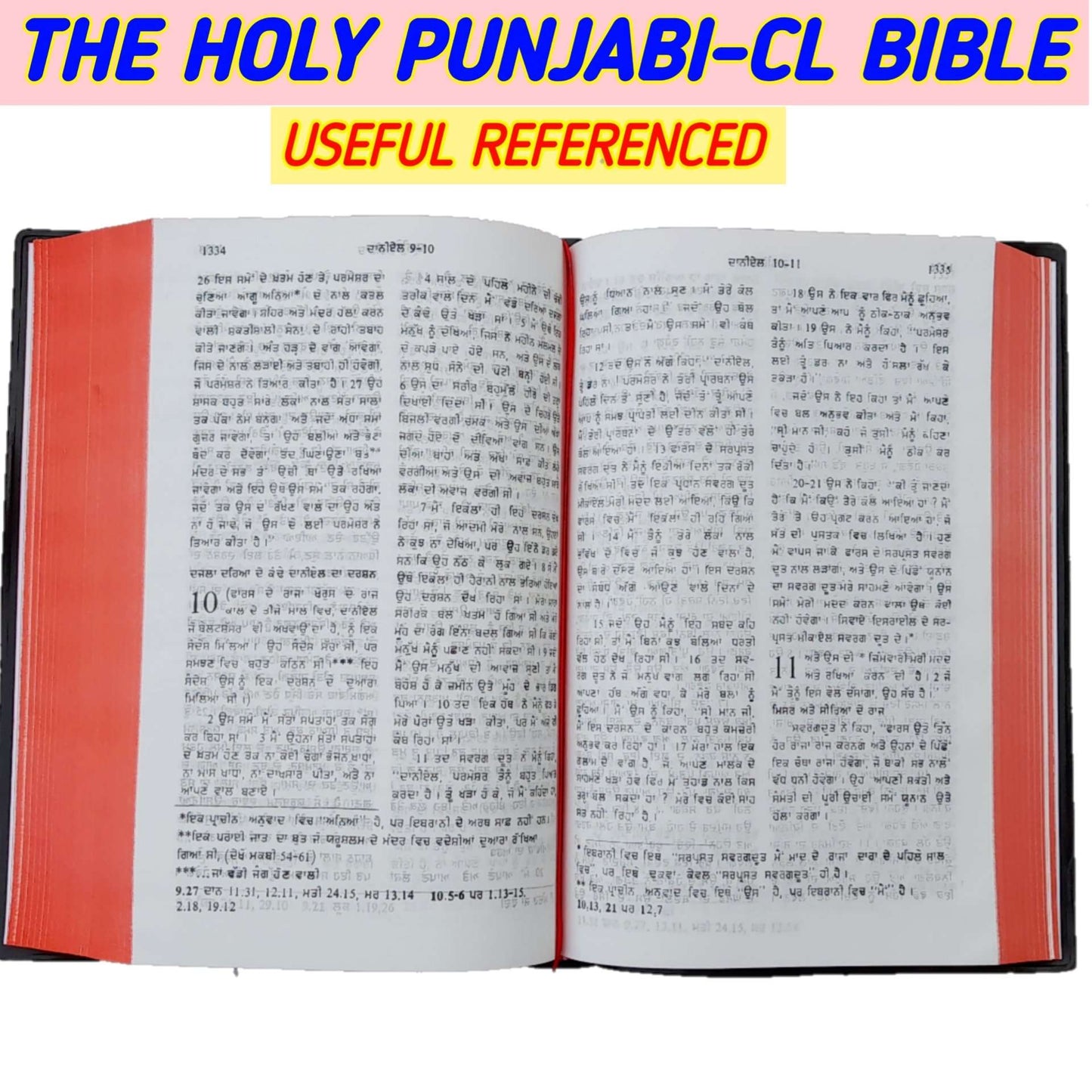 The Holy Bible In Punjabi With Bible Cover Combo Offer