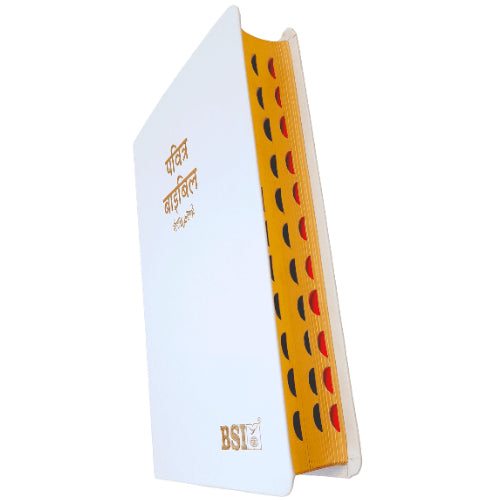 The Holy Hindi – 2023 PU Amity Index Bible | Best Index Hindi Bible | Hindi – O.V. PU Series (Amity) – White