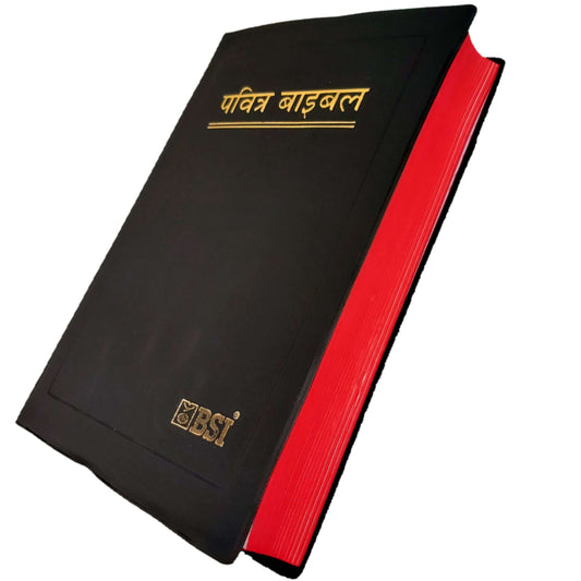 The Holy Hindi Bible | Pavitra Bible | 2022 New Edition Bible