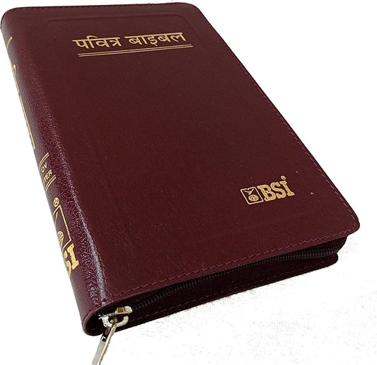 Holy Bible Hindi (Red Letter Edition) Zip Golden Edge