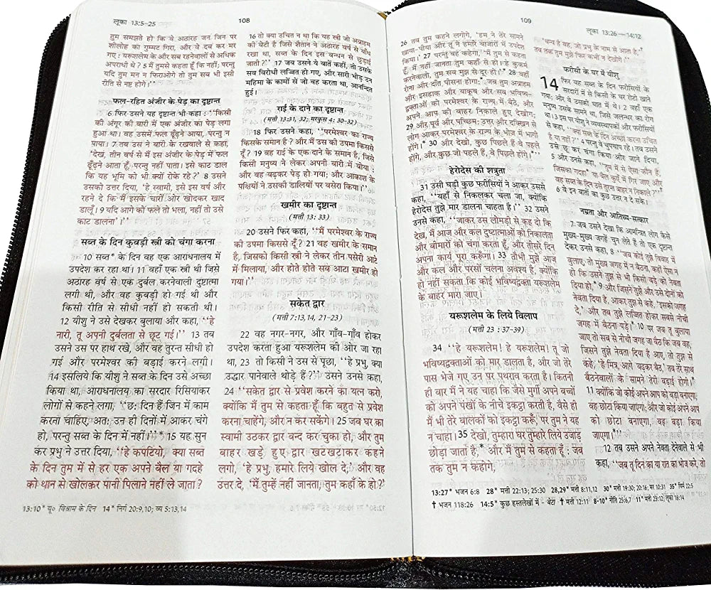 Holy Bible Hindi (Red Letter Edition) Zip Golden Edge Black Color