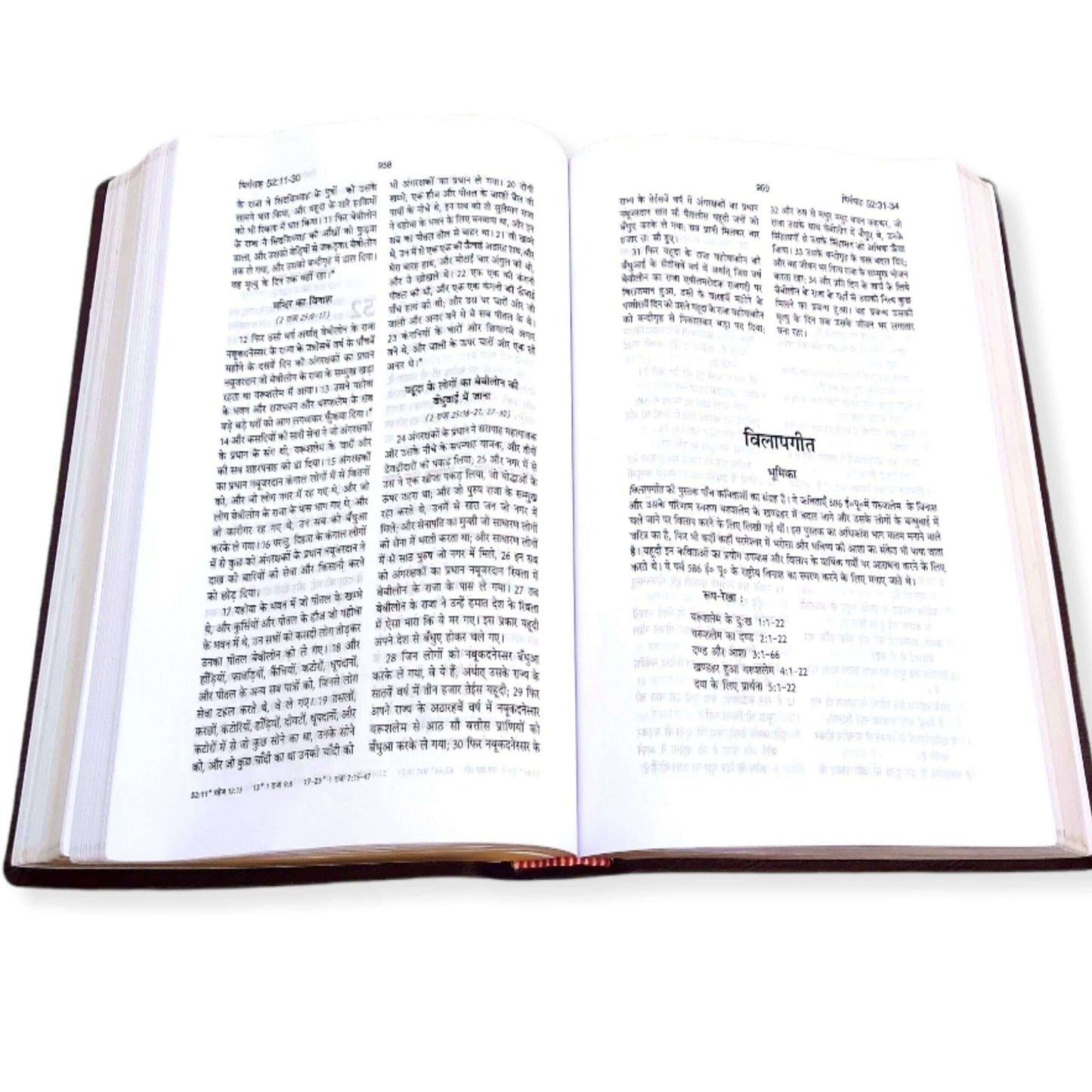 The Holy Pulpit Big Letter Golden Edge Bible In Hindi Leather Cover